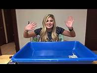 Video thumbnail for Preschool Science Experiment (STEAM/STEM)