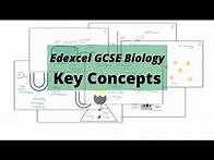 Video thumbnail for The WHOLE of Edexcel GCSE Biology KEY CONCEPTS