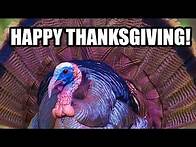 Video thumbnail for Happy Thanksgiving! free greeting card