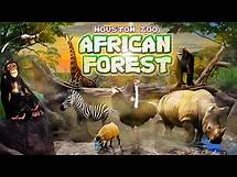 Video thumbnail for Zoo Tours: The Houston Zoo's African Forest (2010)