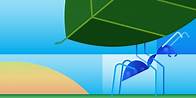 Video thumbnail for How To Answer: “What Are Your Strengths and Weaknesses?”