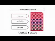 Video thumbnail for Benefits of a universal annealing temperature for PCR