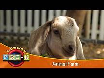 Video thumbnail for Animal Farm | Virtual Field Trip | KidVision Pre-K