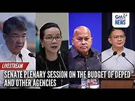 Video thumbnail for LIVE: Senate plenary session on the budget of DepEd and other agencies (November 7, 2024) - Replay