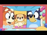 Video thumbnail for 🔴LIVE: Playing in the Heeler House | 1 HOUR+ | Bluey