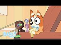 Video thumbnail for Bingo's Funniest Moments | Bluey