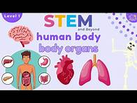 Video thumbnail for Human Body Organs | Science For Kids | STEM Home Learning
