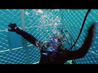 Video thumbnail for Great White Bite - Deadly Waters