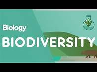Video thumbnail for What Is Biodiversity? | Ecology & Environment | Biology | FuseSchool