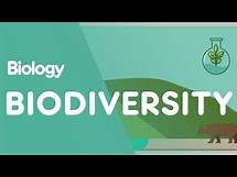 Video thumbnail for What Is Biodiversity? | Ecology & Environment | Biology | FuseSchool