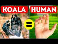 Video thumbnail for 36 Rare Animal Facts You Forgot to Google