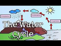 Video thumbnail for All About the Water Cycle for Kids: Introduction to the Water Cycle for Children - FreeSchool