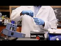 Video thumbnail for Recrystallization and Melting Point Analysis