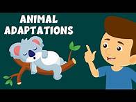 Video thumbnail for Animal Adaptations - Adaptation and Survival - Animal Adaptations for Kids - Learning Junction