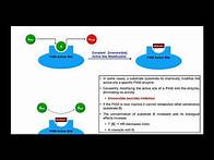 Video thumbnail for Basics of Drug Interactions EXPLAINED | Inhibition & Induction