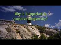 Video thumbnail for Why is it important to conserve Biodiversity?