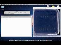 Video thumbnail for ImageJ Tutorial - Measuring Lengths and Angles