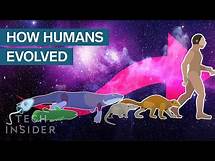 Video thumbnail for Incredible Animation Shows How Humans Evolved From Early Life