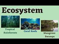 Video thumbnail for Ecosystem: Tropical Rainforests, Coral Reefs and Mangrove Swamps (Science 6)