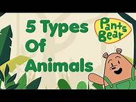 Video thumbnail for Animal classification for Kids | Mammals, Birds, Reptiles, Amphibians & Fish | Animal Groups