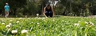 Video thumbnail for Urban evolution: How species adapt to survive in cities