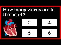 Video thumbnail for Can you pass this science quiz? 🤔🧠