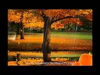 Video thumbnail for Thanksgiving screensaver nfsThanksgivingDayTrees