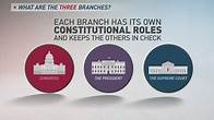 Video thumbnail for Explaining the 3 branches of government in 60 seconds