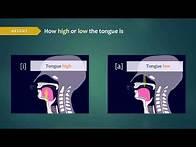 Video thumbnail for Introduction to Articulatory Phonetics (Vowels)