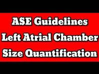 Video thumbnail for Left Atrial Chamber Size Quantification 2023 ASE Guidelines.