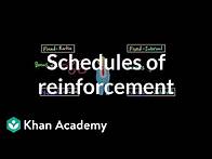 Video thumbnail for Operant conditioning: Schedules of reinforcement | Behavior | MCAT | Khan Academy