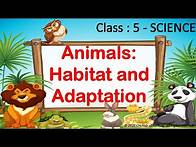 Video thumbnail for Animals: Habitat & Adaptation || Class 5 - Science ||| CBSE / NCERT || Adaptation in Animals