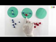 Video thumbnail for Science | Elements Compounds and Mixtures | Grade 7 - 8
