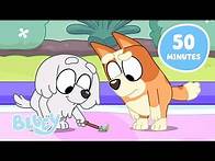 Video thumbnail for 🔴LIVE: Lucky Bluey Moments ✨ | Bluey Learning and Wonder 💭 | Bluey