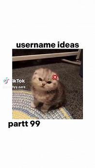 Video thumbnail for Creative TikTok Username Ideas for Girls | Aesthetic Names Suggestions