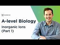 Video thumbnail for Inorganic Ions (Part 1) | A-level Biology | OCR, AQA, Edexcel