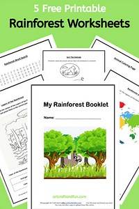 Video thumbnail for Free Printable Rainforest Worksheets -