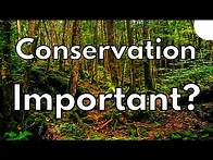 Video thumbnail for What is Wildlife Conservation and Why does it Matter to You? (2024)
