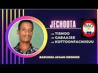 Video thumbnail for 🆎Jechoota Tishoo, Gabaajee fi Kottoonfachiisuu