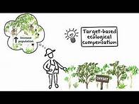 Video thumbnail for An alternative to biodiversity offsets: Target-based ecological compensation
