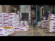 Video thumbnail for Grain and animal feed production - Grainpulse commits to support local farmers increase production
