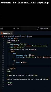 Video thumbnail for How to Use Internal CSS in HTML? 🤔💻