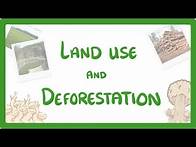Video thumbnail for GCSE Biology - Land Use - Deforestation & Peat Bogs