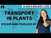 Video thumbnail for Transport in Plants Class 8 ICSE Biology | Selina Chapter 1 | Xylem And Pholem #1