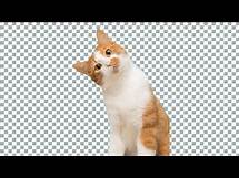 Video thumbnail for How To Get Transparent Background Images From Google