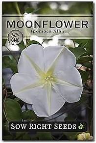 Video thumbnail for Sow Right Seeds - Moonflower (Ipomoea alba) Flower Seeds for Planting - Beautiful Flowers to Plant in Your Home Garden - Non-GMO Heirloom Seeds - Tall Annual Great for Cut Flowers - Wonderful Gift (1)