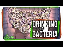 Video thumbnail for Does Drinking Alcohol Kill Your Gut Bacteria?