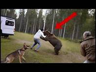 Video thumbnail for If These Animal Moments Were Not Filmed, No One Would Have Believed Them