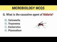 Video thumbnail for Microbiology Mcqs | microbiology mcq questions answers