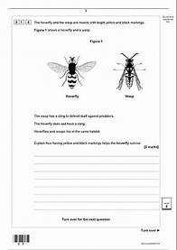 Video thumbnail for Official summer 2024 AQA GCSE BIOLOGY 8461 2H Paper 2 Higher Tier Merged Question Paper + Mark Schem